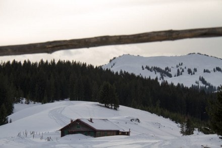 Oberallgäu: Alpe Birkach II (1.364m) (Gunzesried)