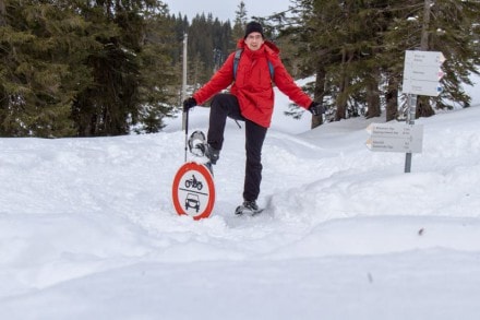 Oberallgäu: Vom Ostertal Parkplatz zur Mittelberg Alpe (Gunzesried)