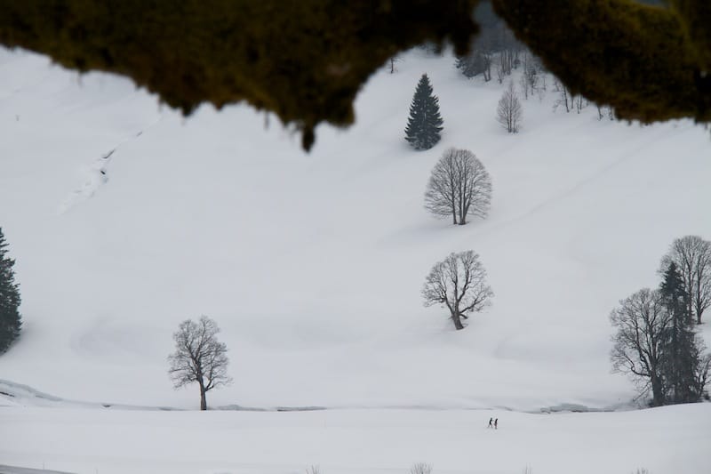 Vom Rohmoostal zur Toniskopfalpe und auf den Piesenkopf (Rohrmoostal - Oberallgäu / 2013)