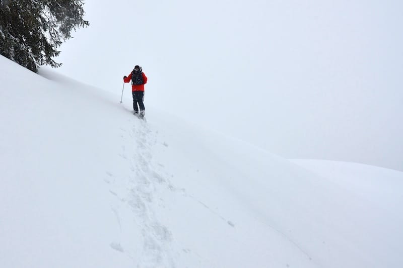 Piesenkopf<br />(Rohrmoostal - Oberallgäu / 2013)