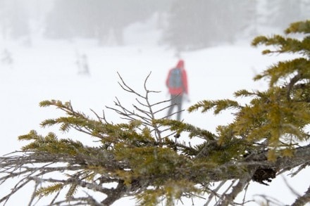 Oberallgäu: Piesenkopfmoos (Rohrmoostal)