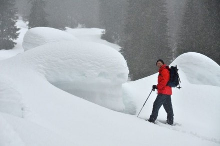 Oberallgäu: Felsbrocken (Grasgehren)