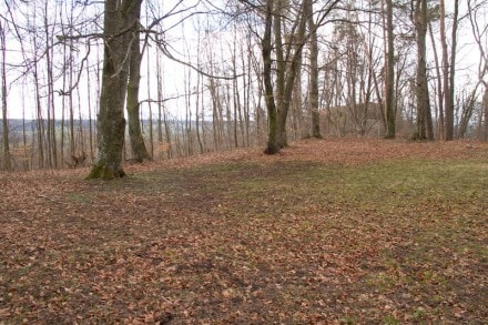 Oberallgu: Unterstandshtte, ehemals Jagdschlsschen bei Wildpoldsried (Leubas)