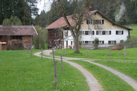 Westallgu: Alte Knochenmhle (Stampf) (Isny)