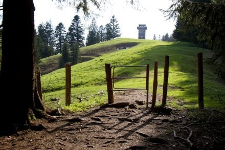 Westallgäu: Hauchenberg (Missen)