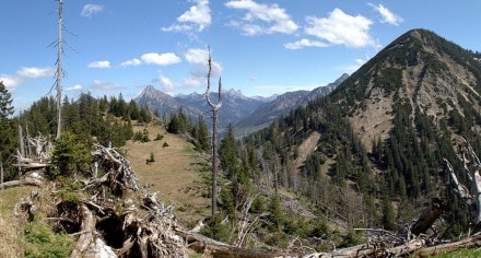 Tannheimer Tal: Vom Gasthof Zugspitzblick zum Wiesler Berg, Pirschling, Schönkahler und Vorderes- und Hinteres Ächsele (Zöblen)