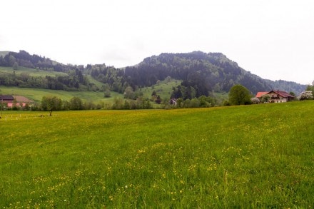 Westallgäu: Ochsenberg (Missen)