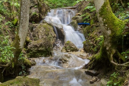 Westallgäu: Klammweg (Missen)