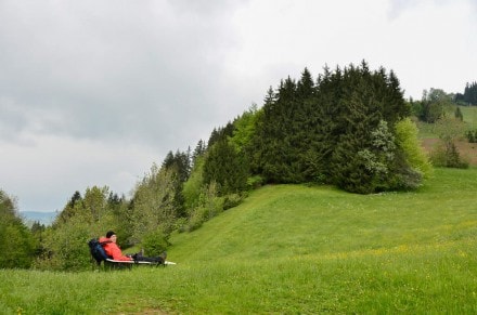 Westallgäu: Von Missen aus auf den Ochsenberg und zum Kammerweg (Missen)