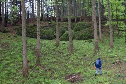 Westallgäu: natürlicher Wall (Missen)