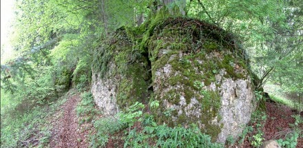 Westallgäu: Findling (Missen)