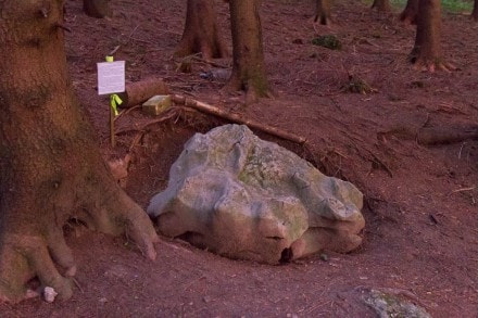 Oberallgu: Findling aus Schrattenkalk (Sulzberg)