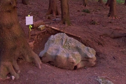 Oberallgäu: Findling aus Schrattenkalk (Sulzberg)