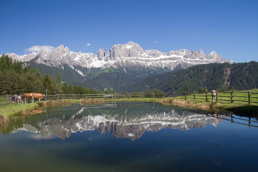 Wuhnleger Weiher<br />(Tiers - Südtirol / 2013)
