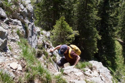 Ostallgäu: Kenzenkopf (Halblech -Ammergauer Berge-)