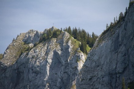 Ostallgäu: Kenzenkopf (Halblech -Ammergauer Berge-)