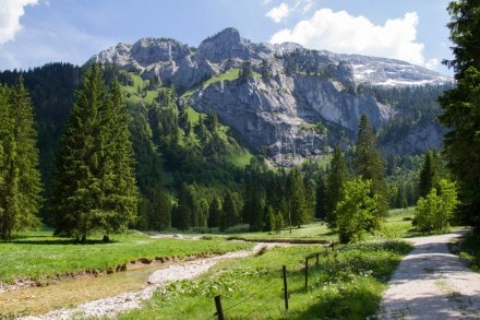 Ostallgäu: Der Kenzenkopf in den Ammergauer Berge (Halblech -Ammergauer Berge-)