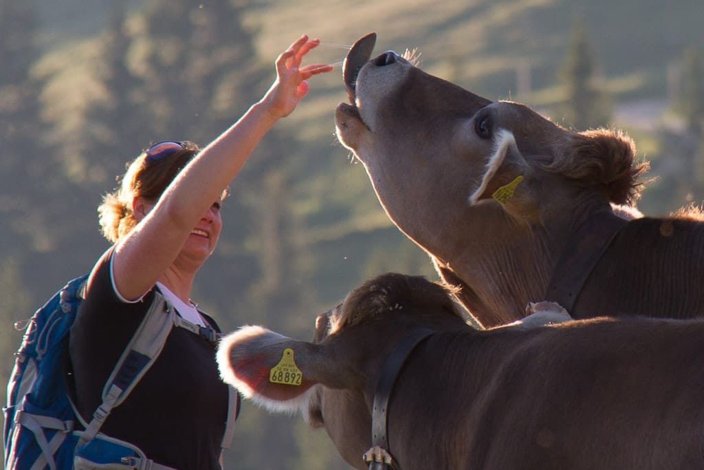 Über der Reichenbachklamm auf den Breitenberg (Pfronten - Oberallgäu / 2013)