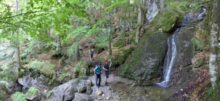 Oberallgäu: Reichenbachklamm (Pfronten)