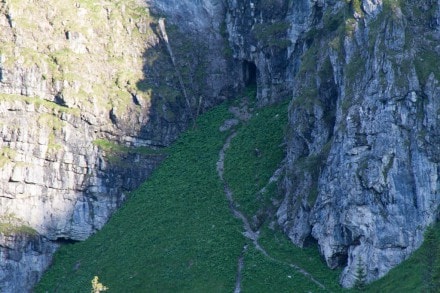 Oberallgäu: Aggenstein Nordseite (Pfronten)