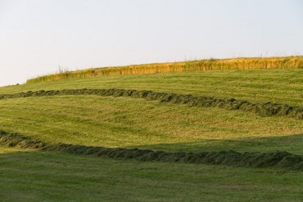 Unterallgäu: Tour (Bad Grönenbach)