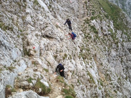 Tannheimer Tal: Köllenspitze (Nesselwängle)