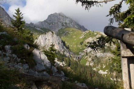 Tannheimer Tal: Köllenspitze (Kellenspitze) (Nesselwängle)