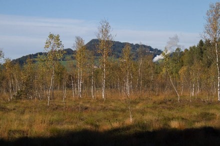 Oberallgu: Agathazeller Moos (Sonthofen)