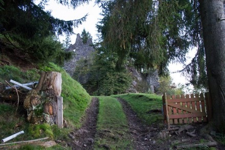 Oberallgu: Burgruine Fluhenstein (Sonthofen)