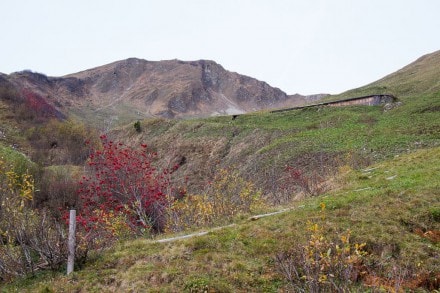 Kleinwalser Tal: Mittlere Spitalalpe (Baad)