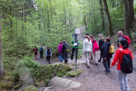 Oberallgäu: Tour (Sulzberg)