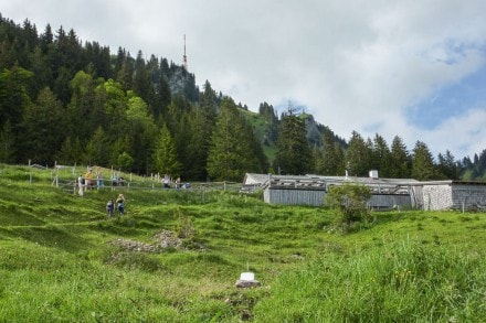 Oberallgäu: Obere Schwandalpe (Sonthofen)