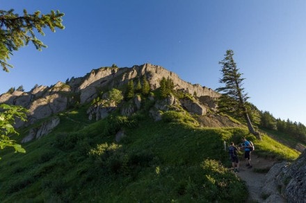 Oberallgu: Tour (Gunzesried)