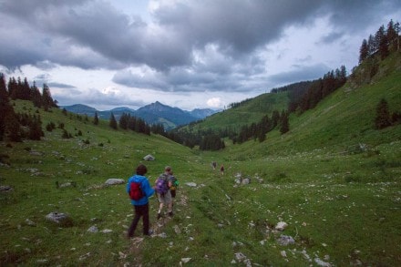 Tannheimer Tal: Untere Stuibenalpe (Schattwald)