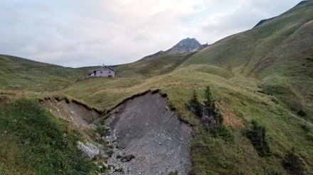 Tannheimer Tal: Gappenfeldalpe (Tannheim)