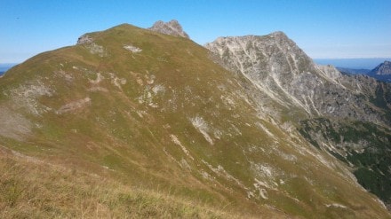 Tannheimer Tal:  (Tannheim)