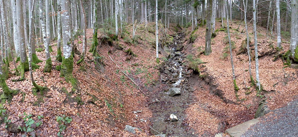Waldweg Flysch Tobel<br />(Oberstdorf - Oberallgäu / 2014)