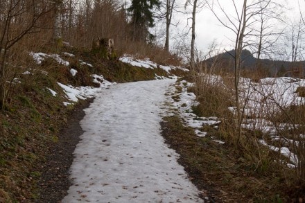 Von der alten Walserstraße zum Freibergsee und Skiflugschanze