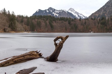 Oberallgu:  (Oberstdorf)