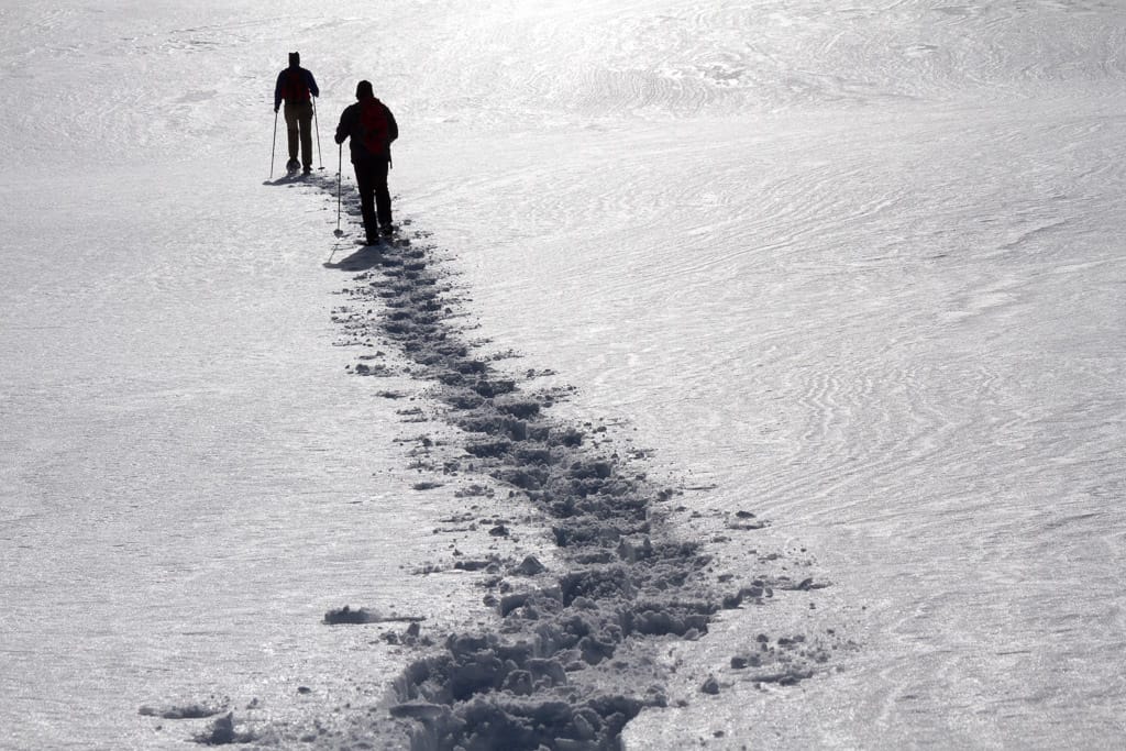 Vom Rohrmoostal auf den Piesenkopf<br />(Oberstdorf - Oberallgäu / 2014)