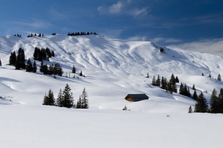 Oberallgäu: Vom Rohrmoostal auf den Piesenkopf (Oberstdorf)