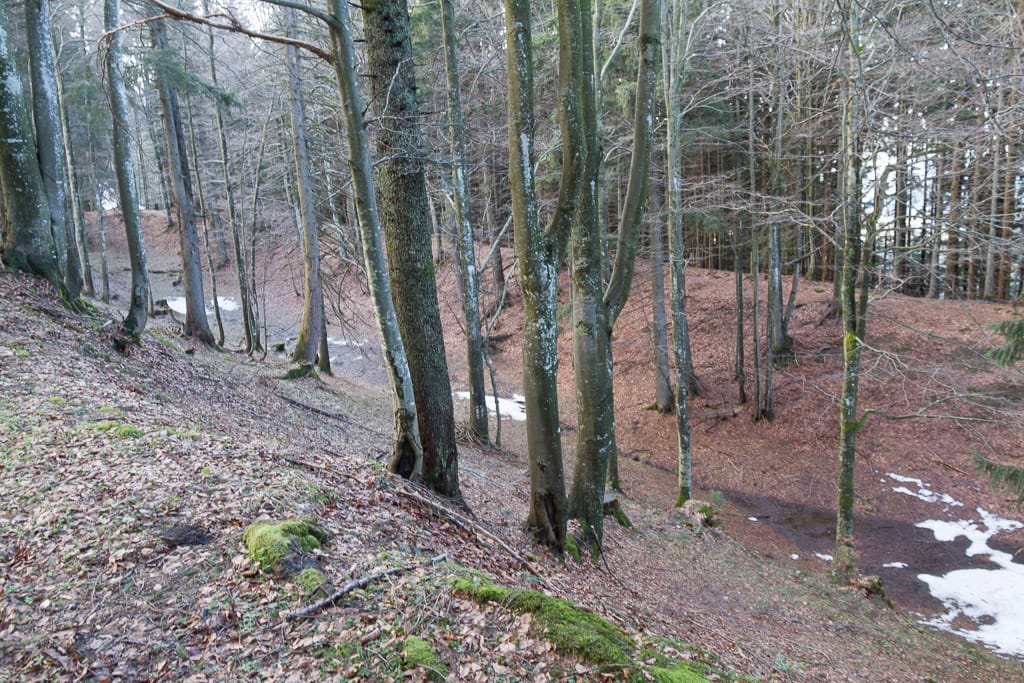 Salmaser Höhe und Thaler Höhe von Wiedmannsdorf aus (Immenstadt - Oberallgäu / 2014) Salmaser Höhe und Thaler Höhe von Wiedmannsdorf aus (Immenstadt - Oberallgäu / 2014)