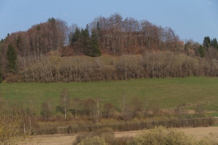 Unterallgäu: Burgstall Wolfartsberg (Obergünzburg)