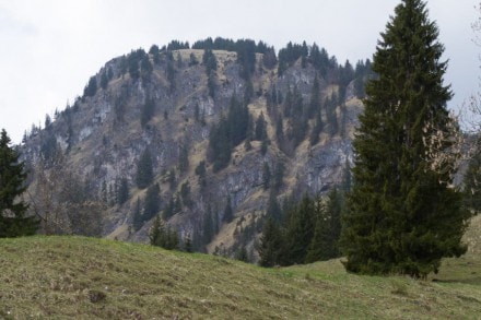 Wandertour zum Großer Hirschberg und Spieser