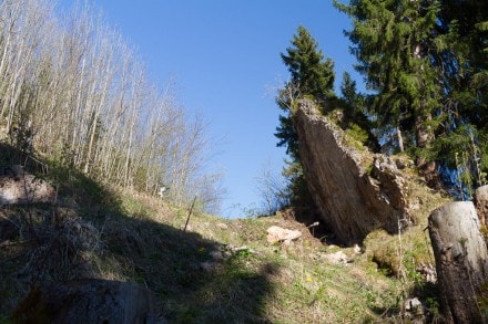 Oberallgäu: Geologischer Wanderpfad Hindelang Allgäu (Sonthofen)