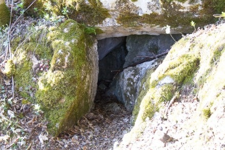 Oberallgäu: Steinköpfle (Sonthofen)