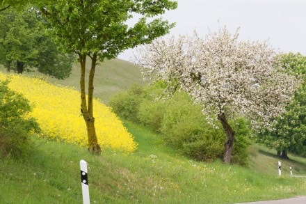 Wandererparkplatz bei Kirchheim am Ries
