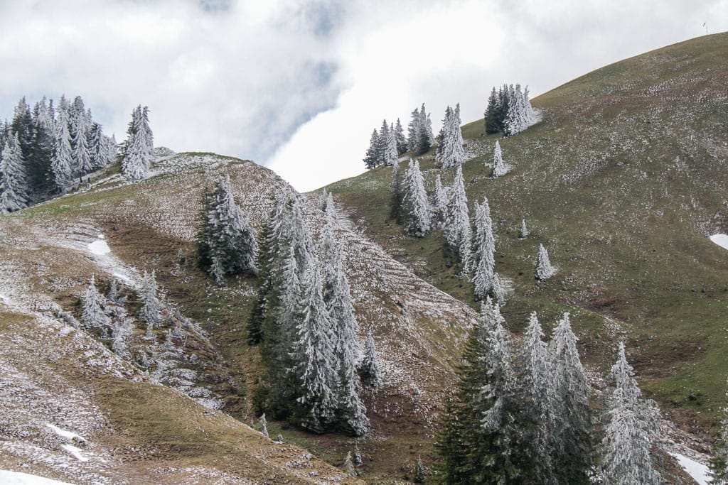 7 Gipfel - Oberjoch (Ornach, Jochschrofen, Großer Hirschberg) (Wertach - Oberallgäu / 2014)