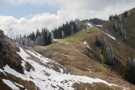 Oberallgäu: 7 Gipfel - Oberjoch (Ornach, Jochschrofen, Großer Hirschberg) (Wertach)