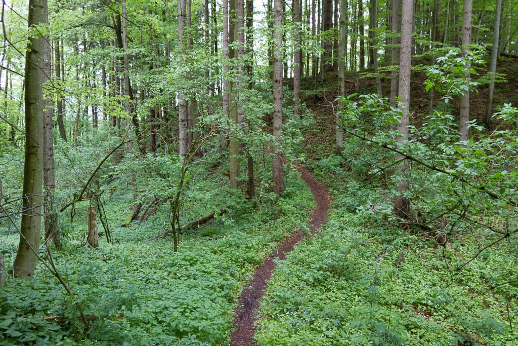 Burgruine Liebenthann<br />(Obergünzburg - Unterallgäu / 2014)
